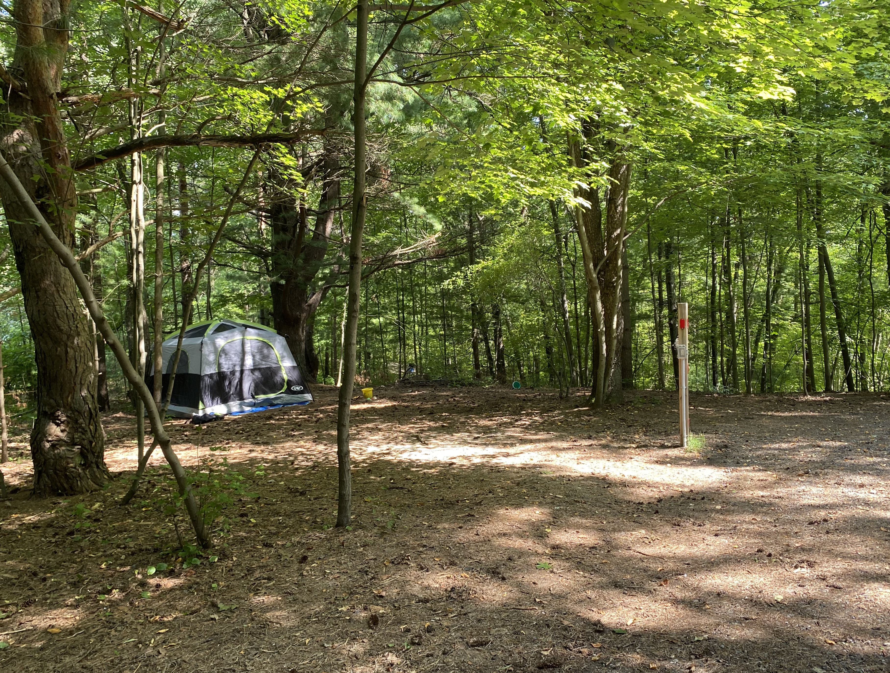 Image for Tent Site 8 - Electric Site