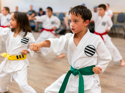 Karate Novice-Intermediate Orange-Green Belt (9/3-12/10)
